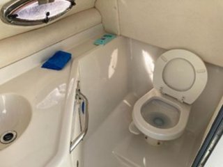 Sea Ray Sundeck 270 V8 425hp 8 metros barco