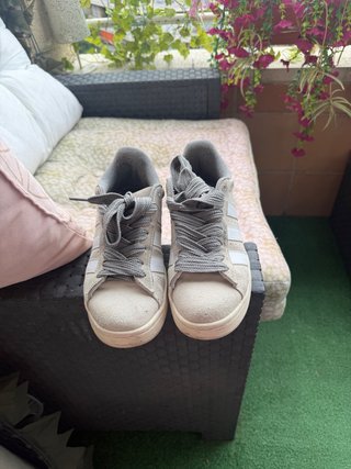 Adidas Campus Beige/Gris Zapatillas