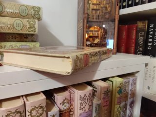 Libro profesor