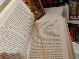 Libro profesor
