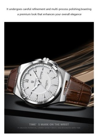Reloj Poedagar Hombre Marrón y Plateado