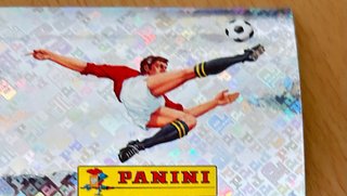 Cromo Panini Mundial 2000