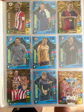 Lote cartas Panini + Álbum