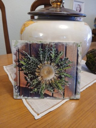 Eguzkilore sobre tabla de madera
