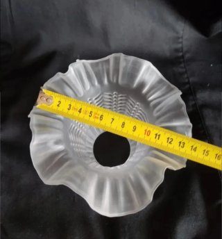 Tulipa modernista