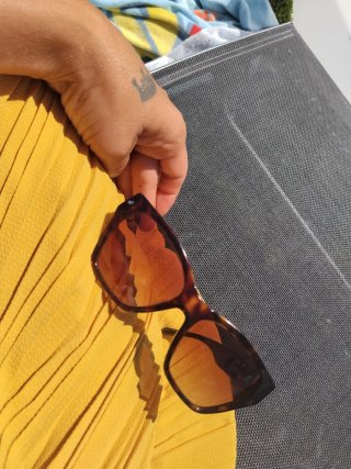 Occhiali da sole Emporio Armani EA4203U