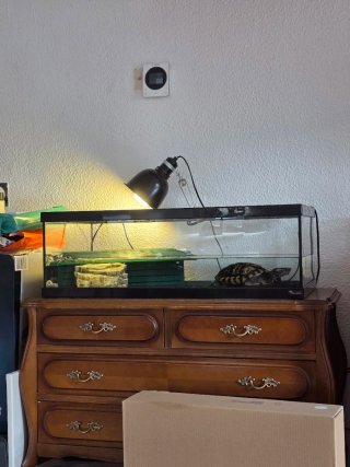 Tortuguera 75cm