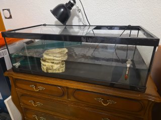 Tortuguera 75cm