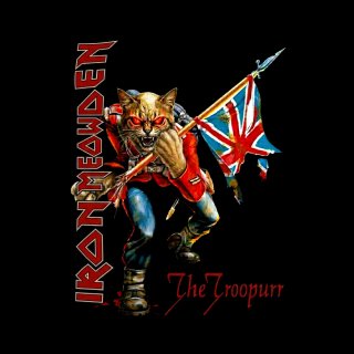 Camiseta Iron Mewden - The Troopurr
