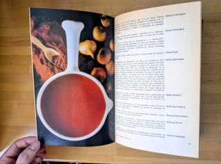 Gran libro de cocina española - Juan Mujal Roig