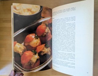 Gran libro de cocina española - Juan Mujal Roig
