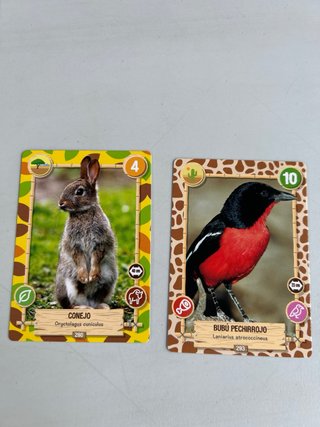 Cromos Rewild Animales