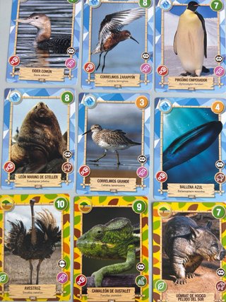 Cromos Rewild Animales