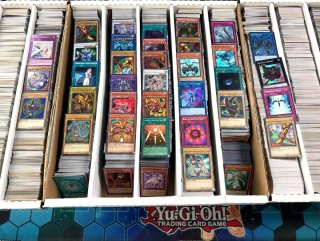 Conjunto de cartas Yu-Gi-Oh! (Bulk)