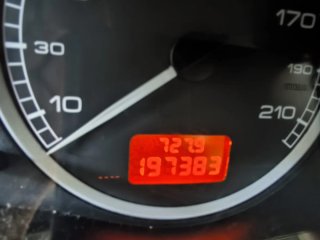 Peugeot 307 1.6i  Economico