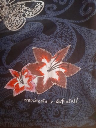 Camiseta Desigual