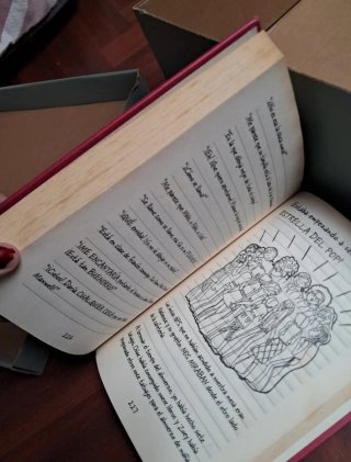 Libros del Diario de Nikki 8 piezas