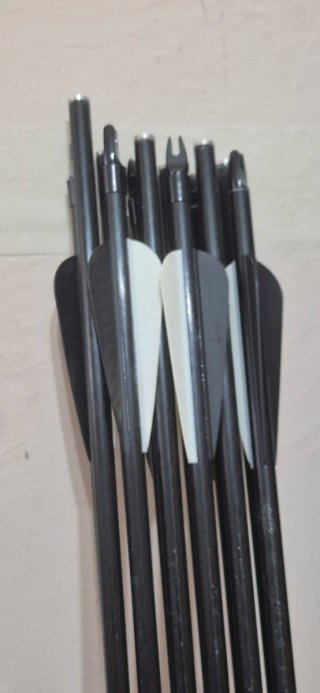 Arco y flechas para tiro deportivo