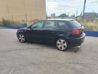 Audi A3 Sportback 1.9 TDI 105 CV