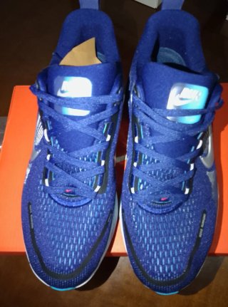 Zapatillas Nike ZoomX Azul y Blanco