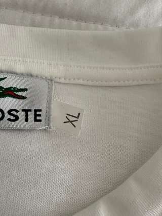 Conjunto Lacoste Verano Blanco
