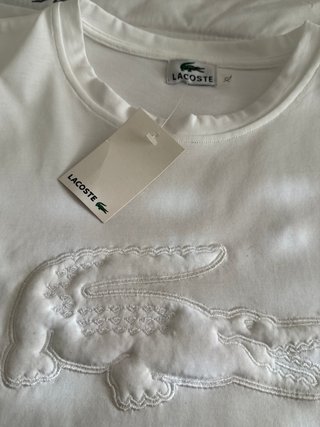 Conjunto Lacoste Verano Blanco
