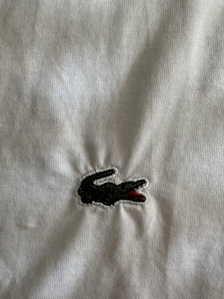 Conjunto Lacoste Verano Blanco