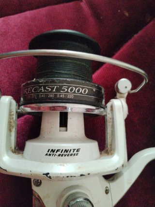 Carrete de pesca Daiwa Shorecast