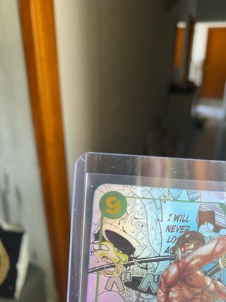 Roronoa Zoro OP06-118 carta decorativa