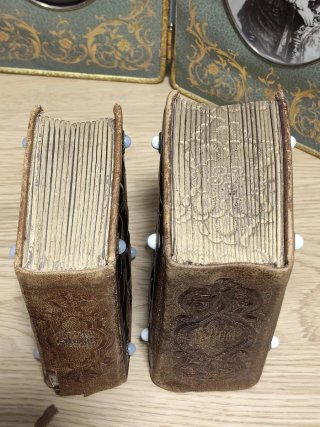 Lote de 2 Álbumes de Fotos Victorianos (S. XIX)