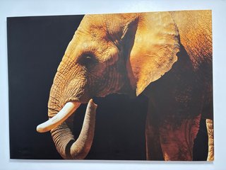 Cuadro lienzo decorativo elefante gran formato