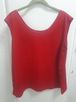 Camisa y top rojo