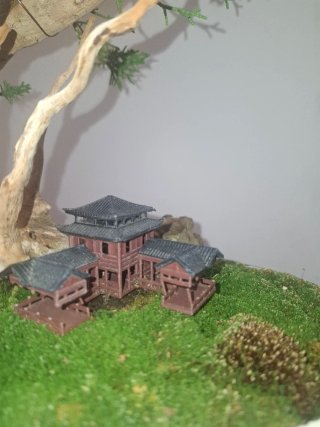 Bonsái Junípero con Casa Miniatura