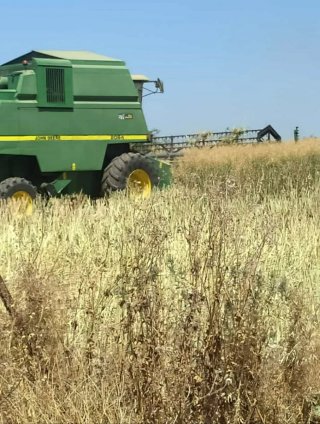 Cosechadora John Deere 2064 Hilmaster