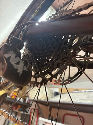 Bicicleta Specialized Epic Hardtail TallaL 10/2022