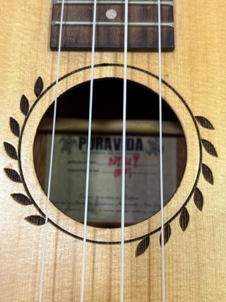 Ukelele concierto Pura Vida