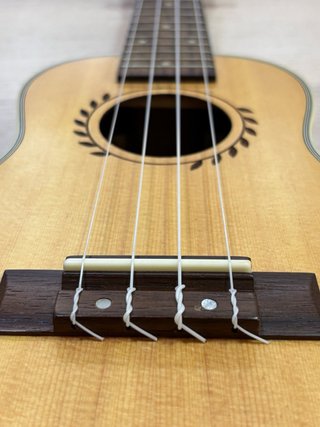 Ukelele concierto Pura Vida