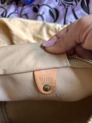 Louis Vuitton Speedy Borsa