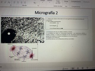 Materiales práctico oposición secundaria Biología