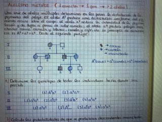 Materiales práctico oposición secundaria Biología