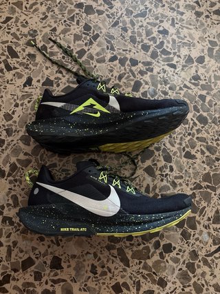 Zapatillas Nike trail atc pegasus trail 5