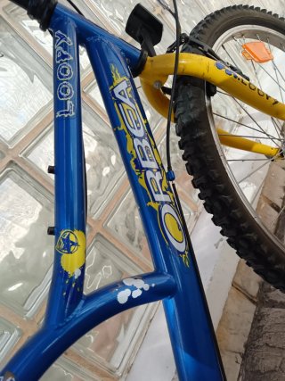Bici 24 pulgadas