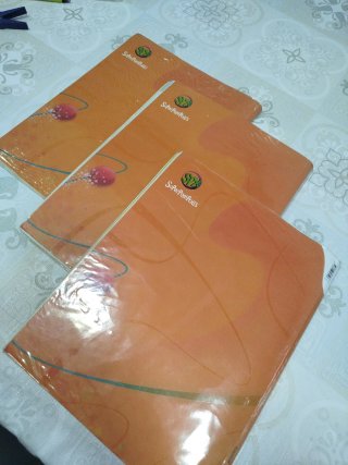 Lengua castellana y literatura 3 Primaria