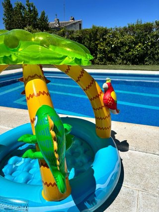 Piscina hinchable infantil con diseño de palmera