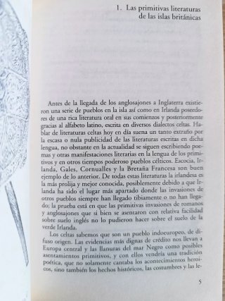Sagas celtas primitivas