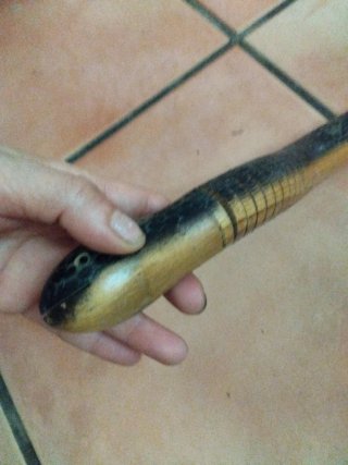 víbora reptiles de coleccionista