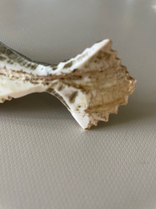 Pesce vintage scolpito a mano fermacarte