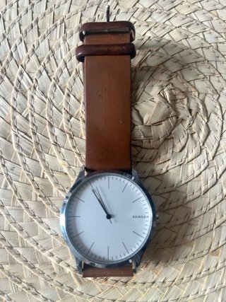 Reloj Skagen Unisex Marrón y Plateado