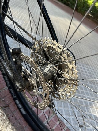 Bicicleta Cannondale Scalpel Carbon HT L