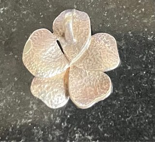 Colgante de plata con esmalte